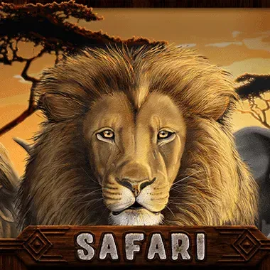 DU88 Safari